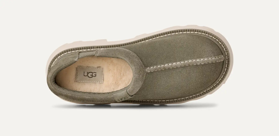 tasman lug