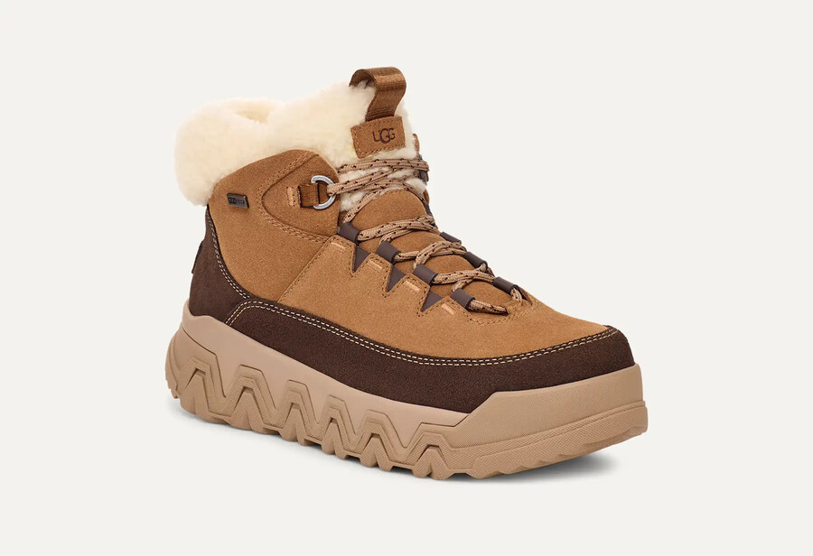terretrail cozy lace